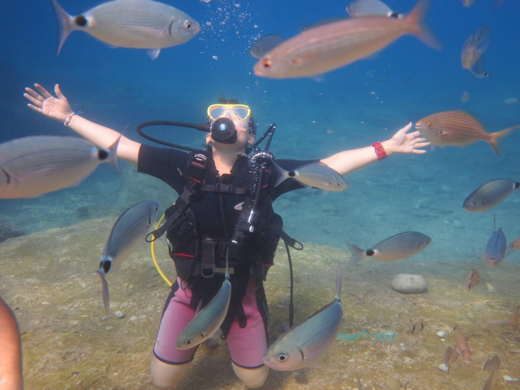 Ölüdenizde Tüplü Dalış