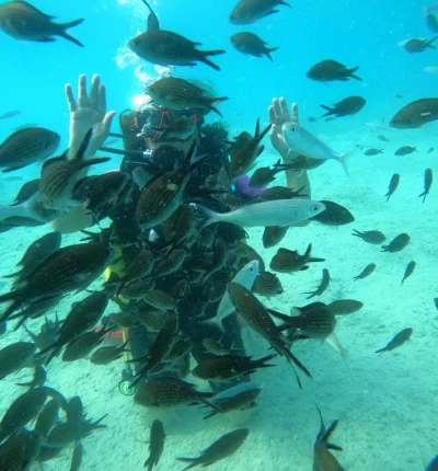 Ölüdeniz Tüplü Dalış
