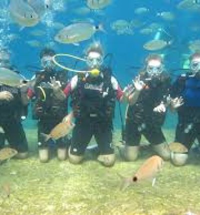 Fethiye Tüplü Dalış Turu