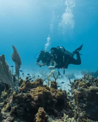 Ölüdeniz Tüplü Dalış Turu Ölüdeniz Tüplü Dalış Turu